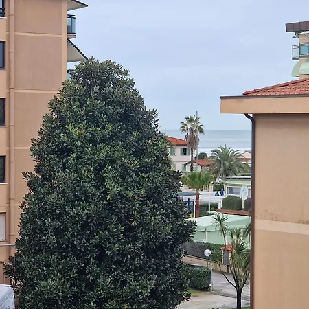 Lejlighed La Casa Del Sole A 50 M Dal Mare Lido di Camaiore
